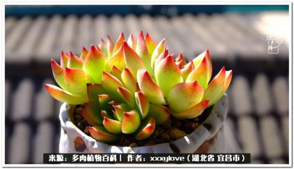 時光匆匆，一閃而逝，這世間萬物的美，都值得被記錄