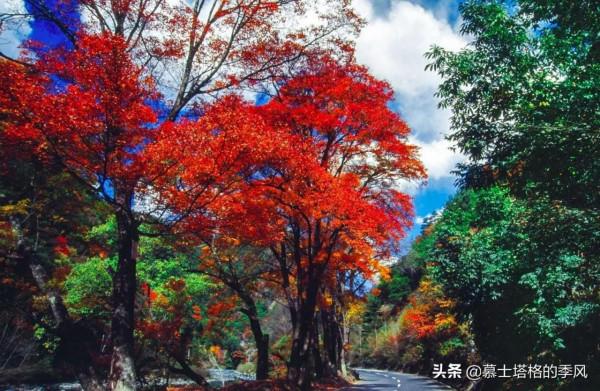 中國最美的10個紅葉景區,每一個都美到極致,你去過幾個? 中國最美的10個紅葉景區,每一個都美到極致,你去過幾個?