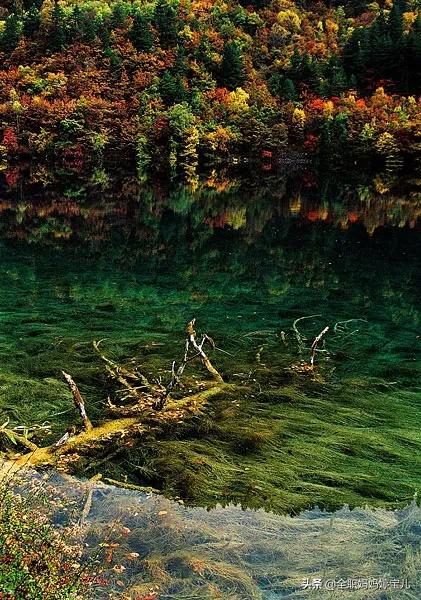 分享——令人迷幻的九寨溝