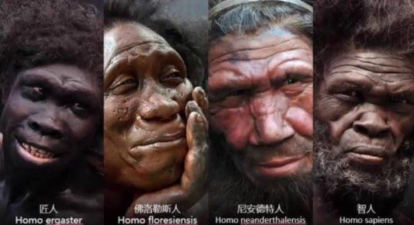 黃種人、白種人、黑種人之間，為何可以自由混血，沒有生殖隔離？