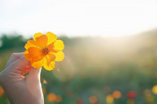當一個人變得“獨來獨往”，多半是這樣的原因