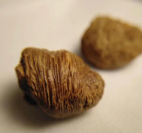 沉水扭絲紅土沉香節珠