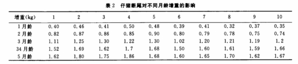 為何現在的豬尾巴又粗又短，小時候卻又長又細？這些年發生了什麼