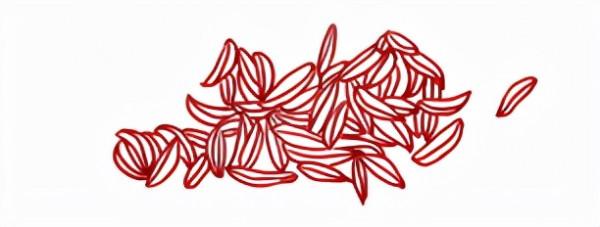 穆記十九香 | 藏在香料中的奼紫嫣紅