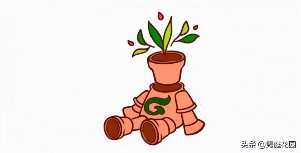 一個優雅的院子,都是養出來的 一個優雅的院子,都是養出來的