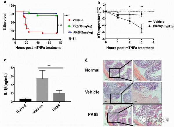 靠臨床前專案，愛科諾生物完成超5000萬美元B輪融資