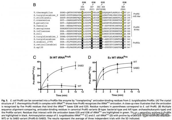 PNAS丨犯錯保命!揭秘細菌逃避宿主免疫反應“追殺”的機制 PNAS丨犯錯保命!揭秘細菌逃避宿主免疫反應“追殺”的機制