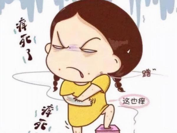 蕁麻疹反反覆覆,一味路路通,祛風止癢,通經活血,助你消除風團 蕁麻疹反反覆覆,一味路路通,祛風止癢,通經活血,助你消除風團