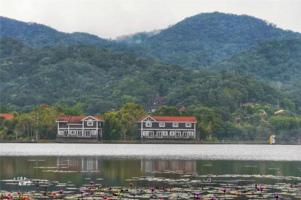 樂東會成為下一個三亞嗎?變成避寒過冬的聖地,環境好、物價低 樂東會成為下一個三亞嗎?變成避寒過冬的聖地,環境好、物價低
