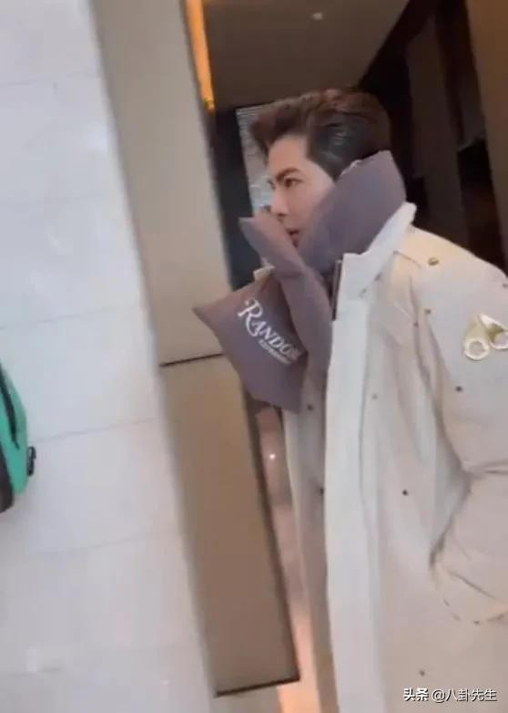 5位港臺明星參加春晚聯排：陳妍希背8萬包包，71歲譚詠麟自搬行李