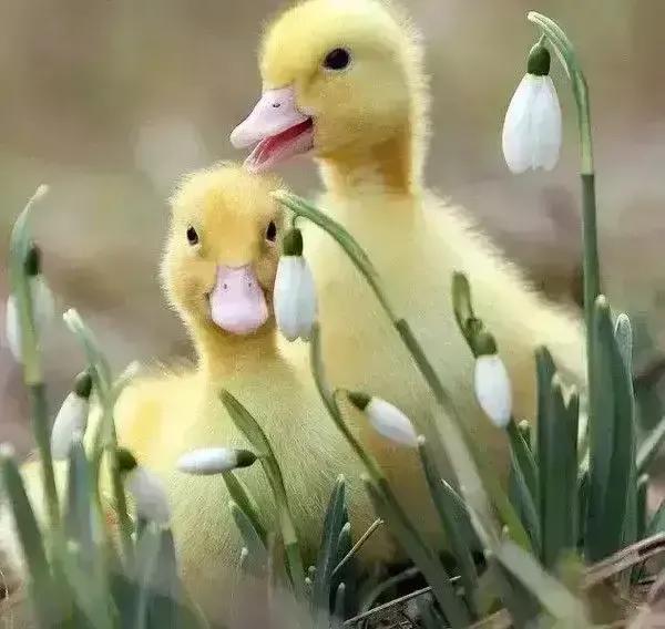 和海鷗對話的男孩是在金燦燦的陽光中長大的嗎? 和海鷗對話的男孩是在金燦燦的陽光中長大的嗎?