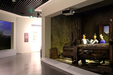 劉成白手起家種植油茶果，年收入破五千萬元，帶領村民共同創收