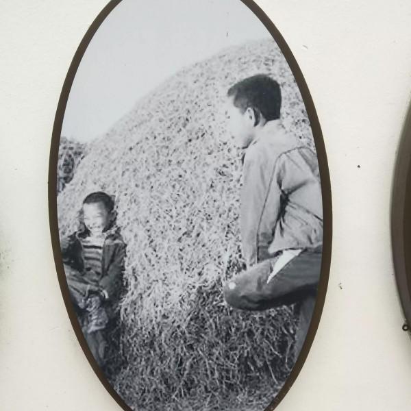 中國淡水魚都――菱湖