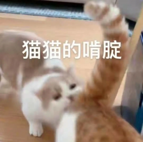 生命之吻！他人工呼吸拯救昏迷小貓，中國消防員也很暖