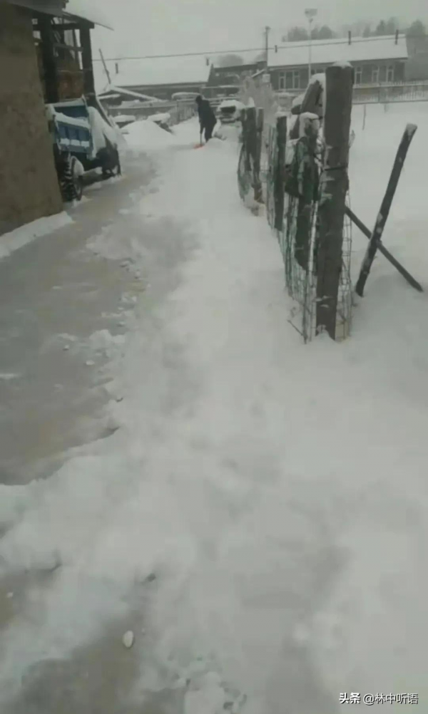 半日酸菜豬肉燉粉條!暴雪即將封山,山東女婿難捨的東北情結 半日酸菜豬肉燉粉條!暴雪即將封山,山東女婿難捨的東北情結