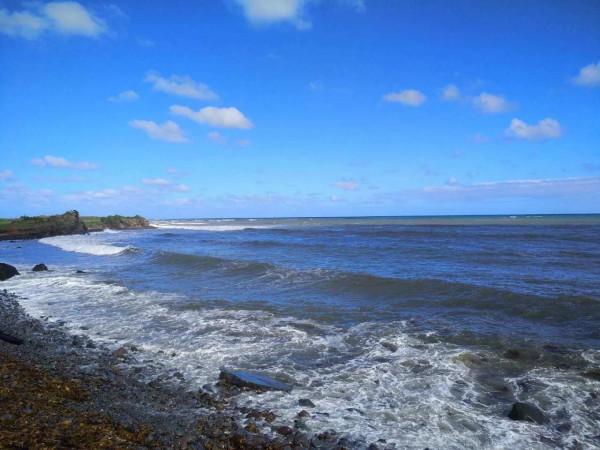 見過鮑魚海灘嗎