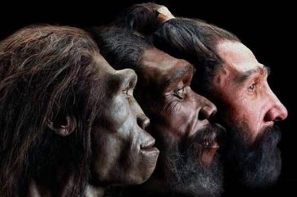 又發現人類在進化的證據了？