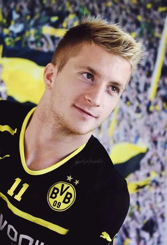 沒有獲得歐冠的偉大球員！羅伊斯可惜，伊布還需歐冠證明嗎？