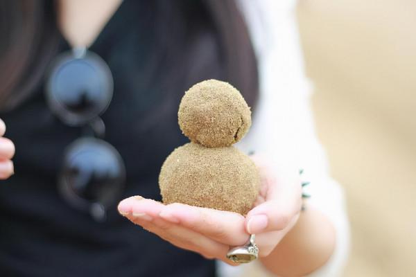 養好君子蘭要先養好根，四種東西養根又護根，是多年經驗的積累