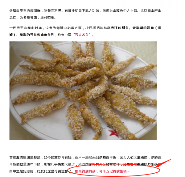 服了佳釣尼&comma;在作死的邊緣試探&comma;官方號還教授怎麼釣&OpenCurlyDoubleQuote;多鱗白甲魚&rdquo;