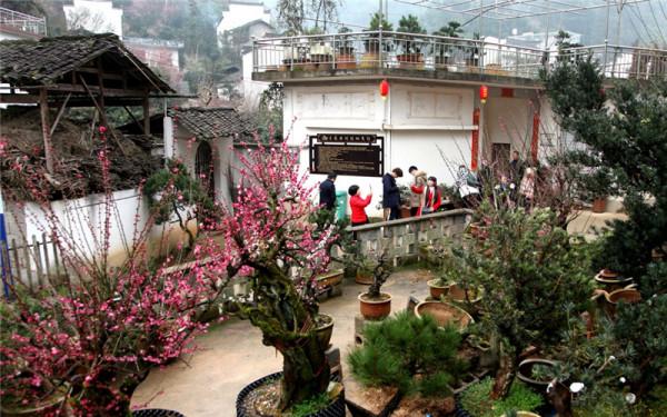 安徽備受歡迎的漁村，正月梅花盛開浪漫滿滿，過年放假不妨去看看