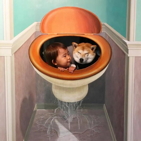 三胎家庭養了7年的柴犬：賣得了萌，帶得了娃，治癒又溫馨