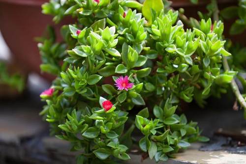 一個人的錢,都是有定數的 一個人的錢,都是有定數的