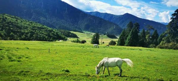 單車騎行318川藏線日記 單車騎行318川藏線日記