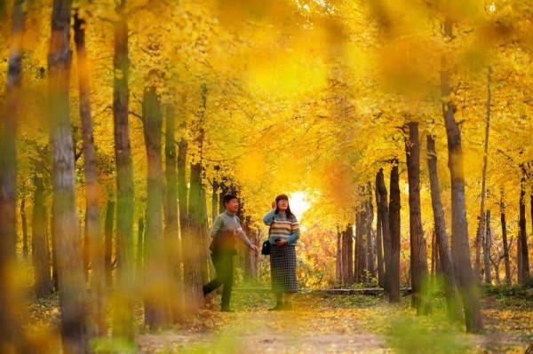 山居秋色,只有大自然的手才能做 山居秋色,只有大自然的手才能做