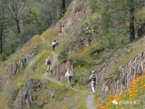 夫妻帶著1歲娃和狗徒步,全部離奇死亡,2個月後警方終於查明真相 夫妻帶著1歲娃和狗徒步,全部離奇死亡,2個月後警方終於查明真相