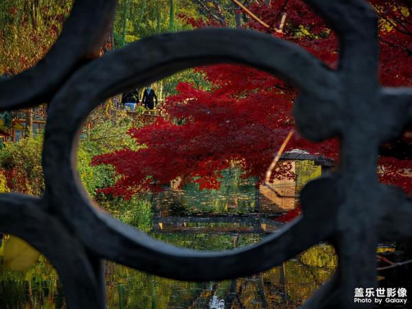 三星手機帶你走進深秋蘇州拙政園,一個最具有江南詩意的絕美園林 三星手機帶你走進深秋蘇州拙政園,一個最具有江南詩意的絕美園林