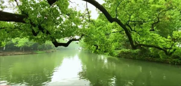 前世今生她都遇到了精神病 前世今生她都遇到了精神病