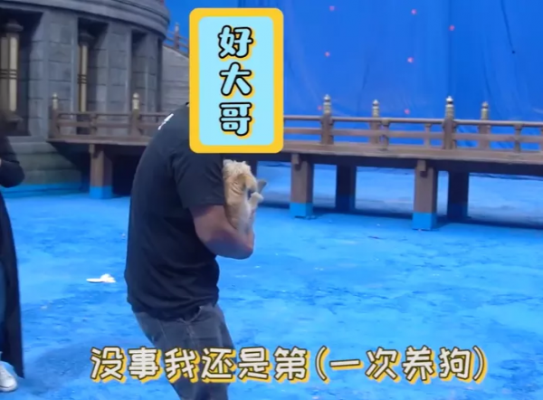 所以於正劇組虐貓了嗎