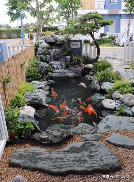 庭院魚池是規則式好還是自然式好