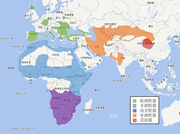 野貓並非家貓野化或“流浪貓”,現正因流浪貓面臨著嚴重的危機 野貓並非家貓野化或“流浪貓”,現正因流浪貓面臨著嚴重的危機