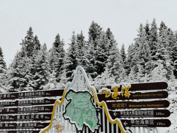 九寨溝的第一場雪 晶瑩剔透 恍若進入了童話世界