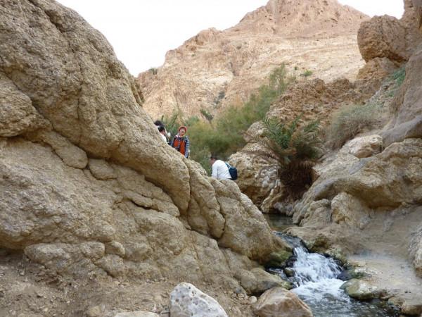 「突尼西亞2014」託澤尓（一）&mdash;&mdash;沙漠中的綠寶石