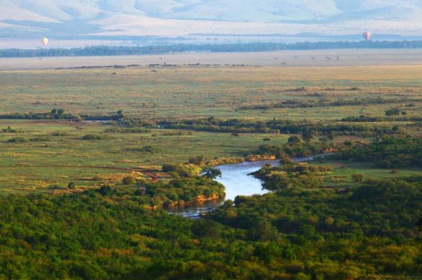 馬賽馬拉的十一遊獵（1）