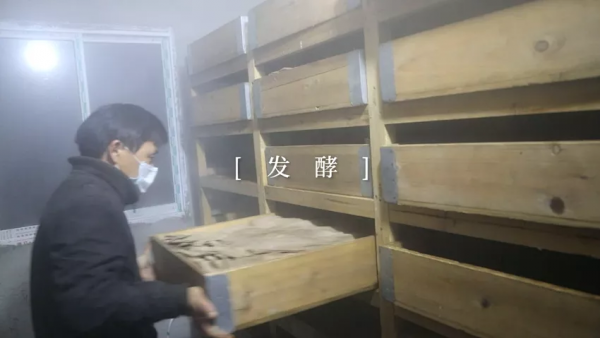 祁門紅茶製作工藝