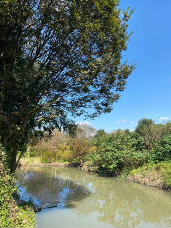 荷庭農家小院 | 純樸與藝術結合在一起,來過你就會愛上 荷庭農家小院 | 純樸與藝術結合在一起,來過你就會愛上