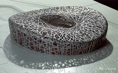 黎伊揚調侃阿迪力髮型像“鳥巢”:這是設計靈感嗎 黎伊揚調侃阿迪力髮型像“鳥巢”:這是設計靈感嗎