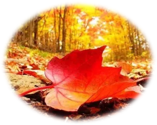 大資料的威脅有多大，你要警惕