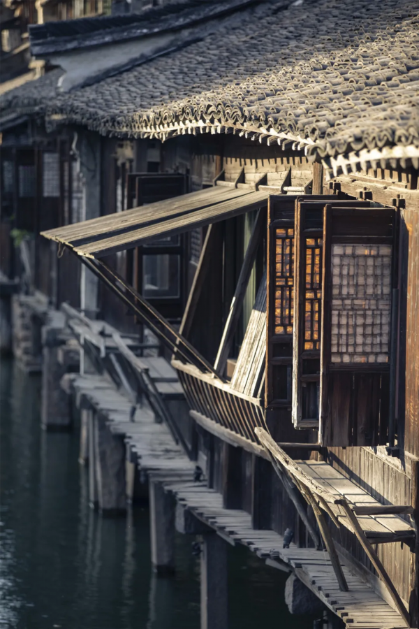 一葉知秋,烏鎮秋天的第一波美圖,誰看誰心動 | 烏鎮•美圖 一葉知秋,烏鎮秋天的第一波美圖,誰看誰心動 | 烏鎮•美圖