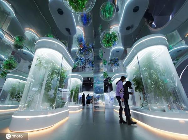 年度最佳 | 千龍網，2021年度回顧