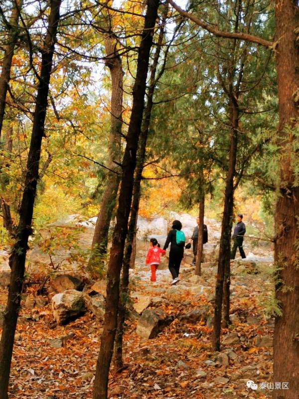 週末好去處，賞秋網紅打卡地！