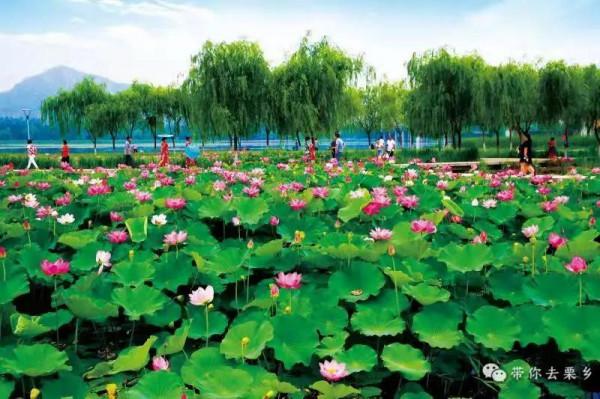 遷西，用心等你