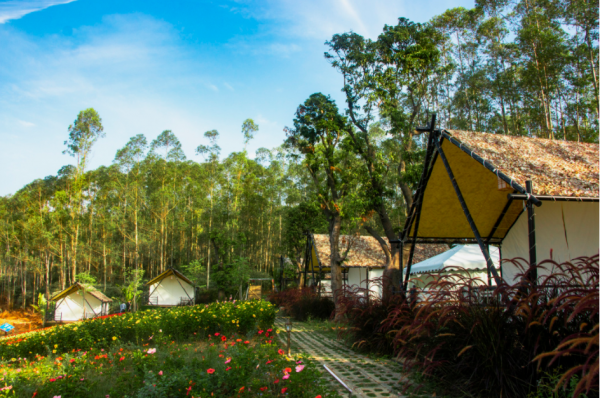 網紅野奢露營,望星而眠——聞鳥而醒,暢玩整個週末 網紅野奢露營,望星而眠——聞鳥而醒,暢玩整個週末