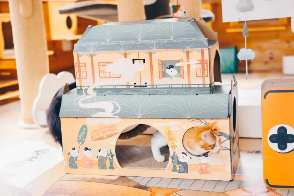 找領養&;新成員 | 你好呀,鏟屎官 找領養&;新成員 | 你好呀,鏟屎官