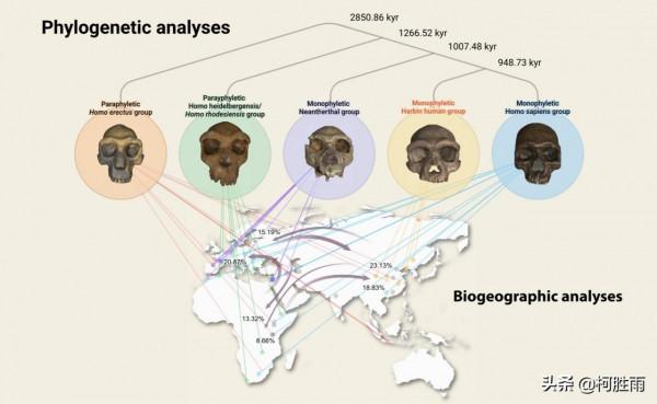震撼！中國發現中更新世古人類新人種：龍人