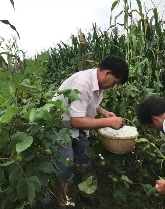 大衣哥出名機(雞)緣巧合，他應該感謝新時代，更要感謝黨和人民